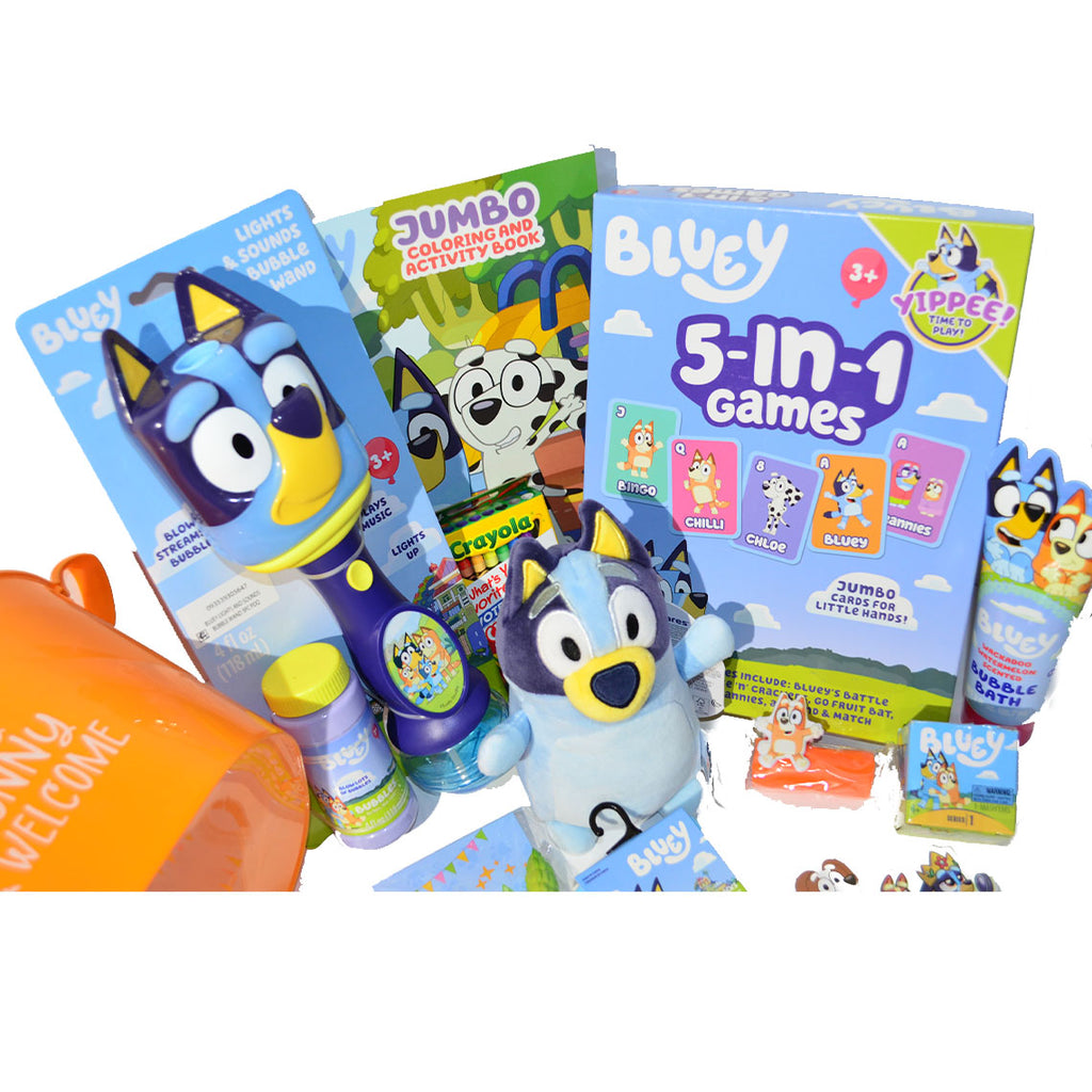 NEW Personalized Toy-Filled Easter basket /Bluey Toy Filled Gift Basket for Kids
