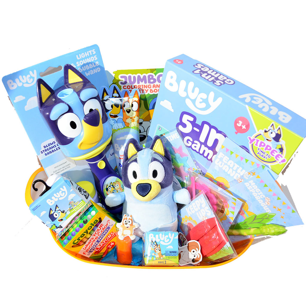 NEW Personalized Toy-Filled Easter basket /Bluey Toy Filled Gift Basket for Kids