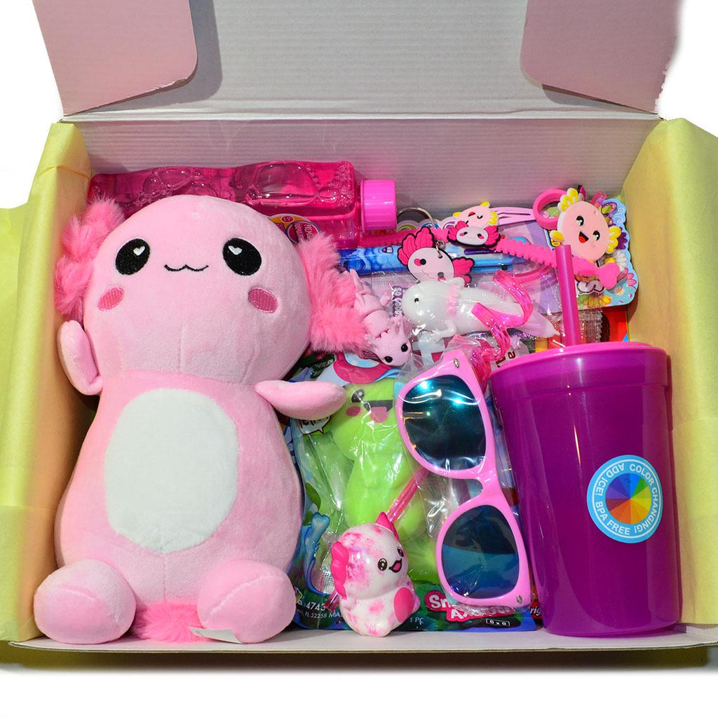 Personalized Axolotl Summer Gift box * Unique Birthday Gift for kids * surprise box • Toys, Activities gift- Thinking of you
