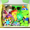Personalized Pre-Filled TMNT Themed Gift box * Unique Birthday Gift for kids * surprise box • Toys, Activities gift- Thinking of you gift
