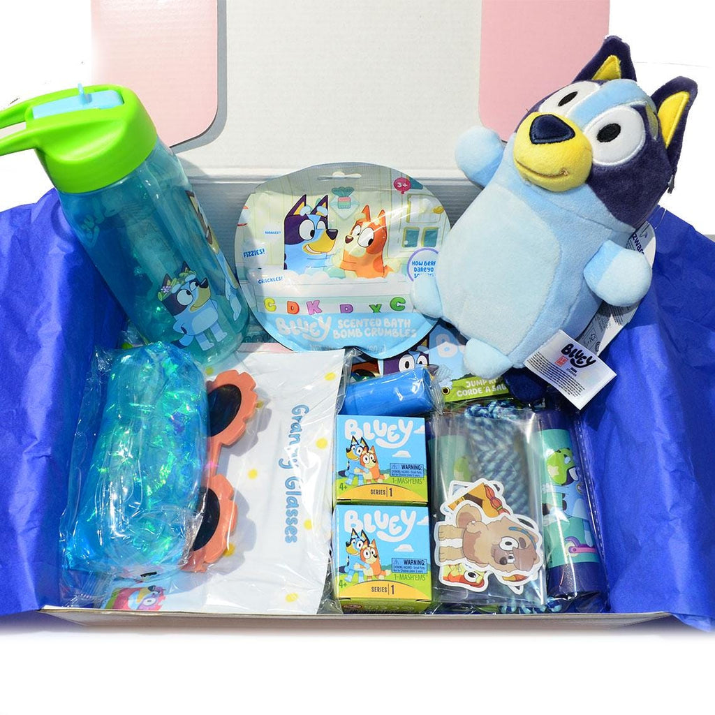 Personalized Pre-Filled Bluey Themed Gift box * Unique Birthday Gift for kids * surprise box • Toys, Activities gift- Thinking of you gift
